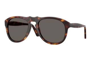 Front view Persol PO0649NE (24/B1)