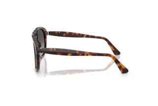 Side view Persol PO0649NE (24/M3)