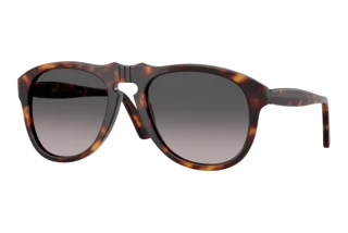 Front view Persol PO0649NE (24/M3)