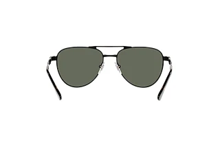 Rear view Persol PO1003S (115158)