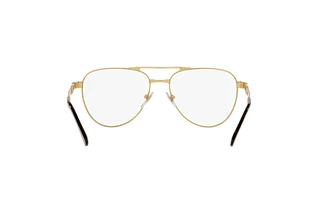 Rear view Persol PO1003S (515/GG)