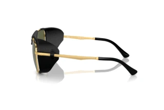 Side view Persol PO1013SZ (114958)