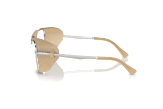 Side view Persol PO1013SZ (1155GH)
