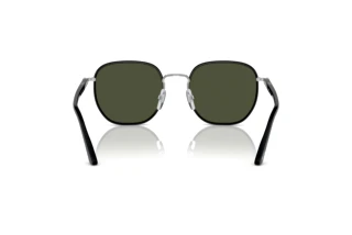 Rear view Persol PO1015SJ (112531)