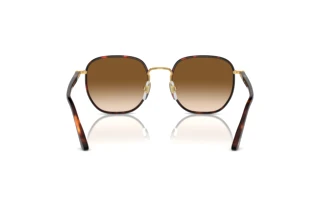 Rear view Persol PO1015SJ (112651)