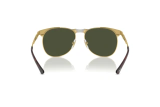 Rear view Persol PO1016S (515/31)