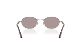 Rear view Persol IDA (PO1018S - 102153)