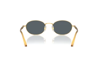 Rear view Persol IDA (PO1018S - 1129R5)