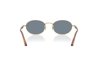 Rear view Persol IDA (PO1018S - 113256)