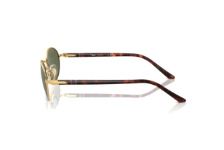 Side view Persol IDA (PO1018S - 515/58)