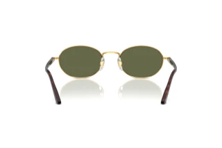 Rear view Persol IDA (PO1018S - 515/58)