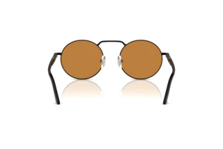 Rear view Persol PO1019S (107853)