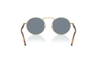 Rear view Persol PO1019S (113256)