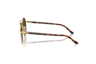 Side view Persol PO1019S (515/31)
