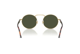 Rear view Persol PO1019S (515/31)