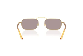 Rear view Persol PO1020S (112953)