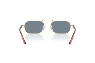 Rear view Persol PO1020S (113256)