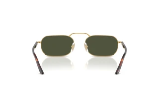 Rear view Persol PO1020S (515/31)