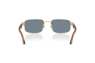 Rear view Persol PO1022S (113256)