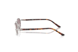 Side view Persol PO1023S (102153)