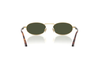 Rear view Persol PO1023S (515/31)