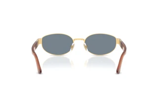 Rear view Persol PO1024S (113256)