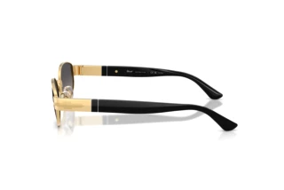 Side view Persol PO1024S (515/M3)