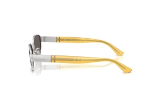 Side view Persol PO1024S (518/B1)