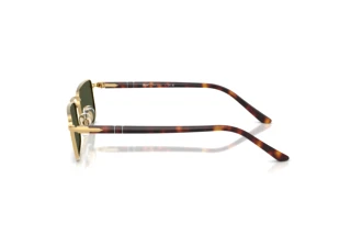 Side view Persol PO1025S (515/31)