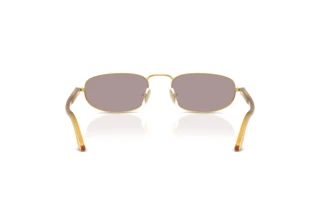 Rear view Persol PO1028S (112953)