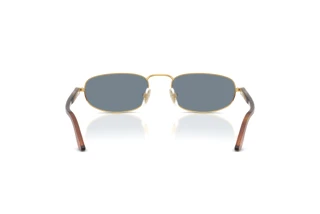 Rear view Persol PO1028S (113256)