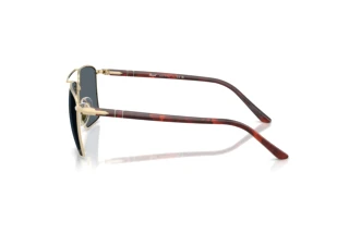 Side view Persol PO1031S (1076R5)