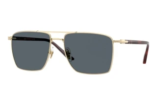 Front view Persol PO1031S (1076R5)