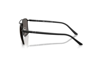 Side view Persol PO1031S (1078B1)