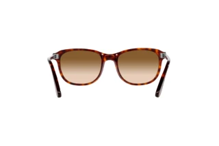 Rear view Persol PO1935S (24/51)