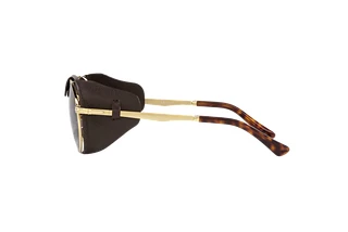 Side view Persol PO2496SZ (114057)