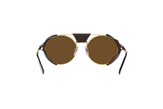 Rear view Persol PO2496SZ (114057)