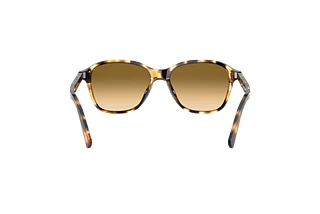 Rear view Persol PO3244S (112351)