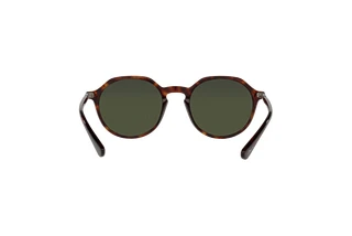 Rear view Persol PO3255S (24/31)
