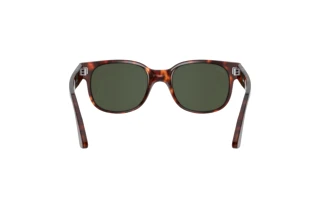 Rear view Persol PO3257S (24/31)