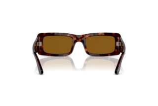 Rear view Persol FRANCIS (PO3332S - 24/33)