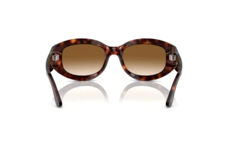 Rear view Persol PO3335S (24/51)
