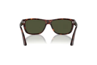 Rear view Persol PO3342S (24/31)