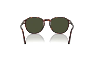 Rear view Persol PO3343S (24/31)