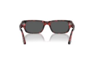 Rear view Persol ADRIEN (PO3347S - 1212B1)
