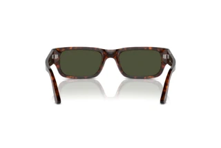 Rear view Persol ADRIEN (PO3347S - 24/31)