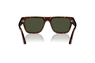Rear view Persol PO3348S (24/31)