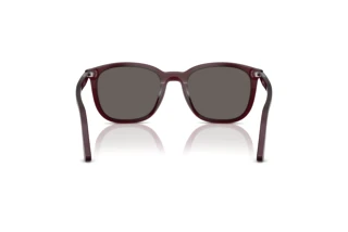Rear view Persol PO3355S (1216B1)