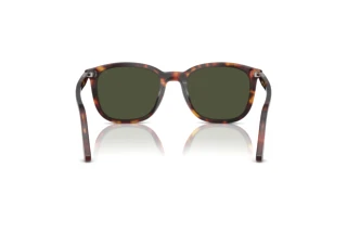 Rear view Persol PO3355S (24/31)
