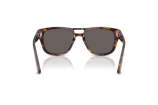 Rear view Persol PO3366S (24/B1)